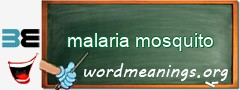 WordMeaning blackboard for malaria mosquito